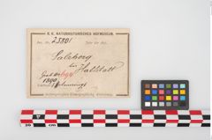 Etikett zu Bronzebuckelarmreif (NHMW-PRAE-025801)